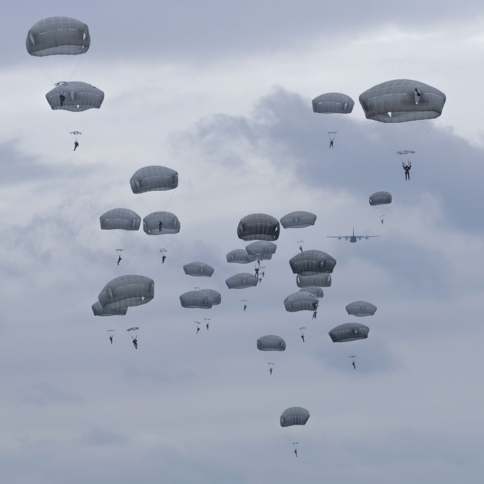 Paratroopers jump from military plane on evening Paratroopers jump from military plane on evening